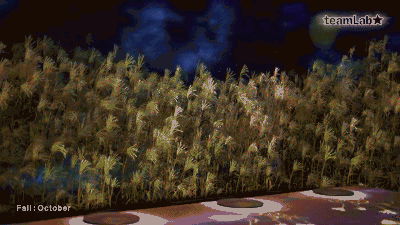 日本SAGYA餐廳 微信圖片_20200713161553