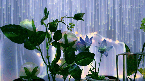 武漢科技音樂餐廳 微信圖片_20200713145910